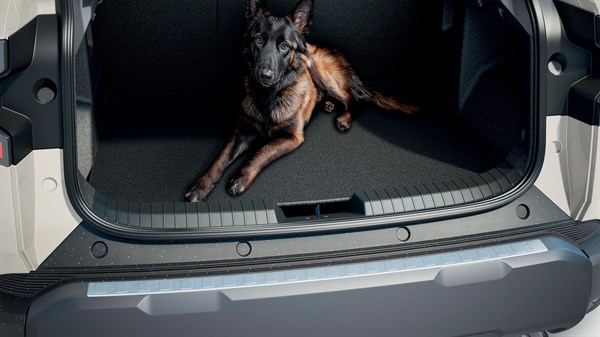 Duster - Roof boxes