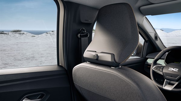 Dacia Jogger accessories - YouClip - headrest mount