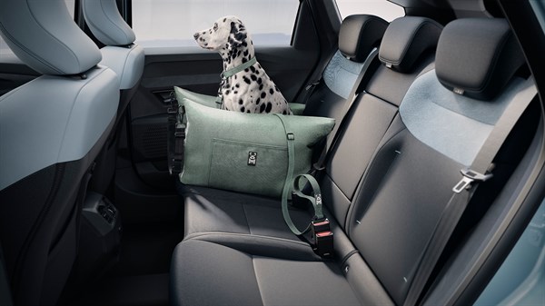 safety lead - Accessories - Striker - Dacia