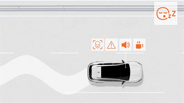 surveillance system - Security - Striker - Dacia