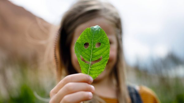 Lihtne ja selge kütusekulu info